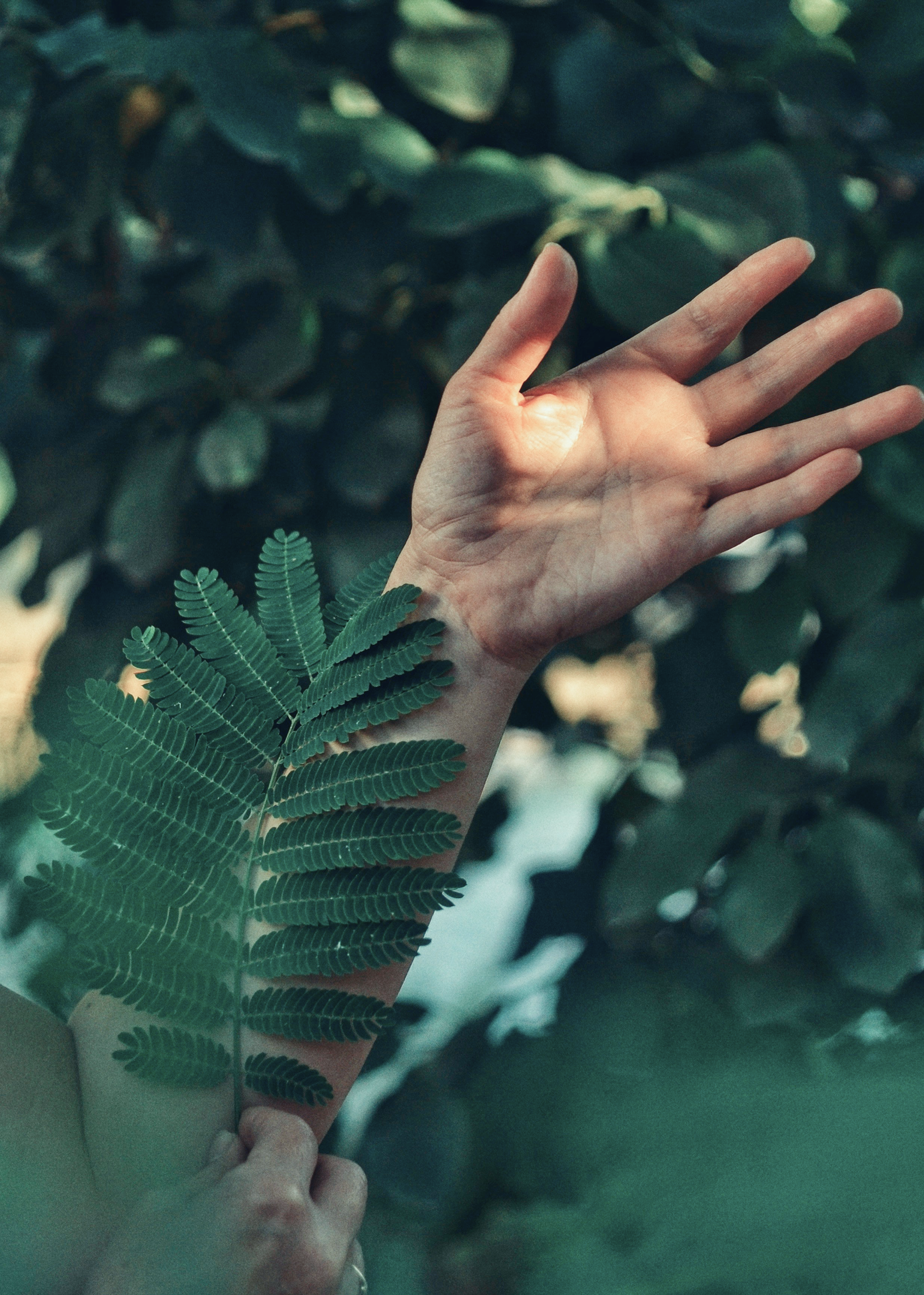 What Does Energy Healing Actually Feel Like? What to Expect