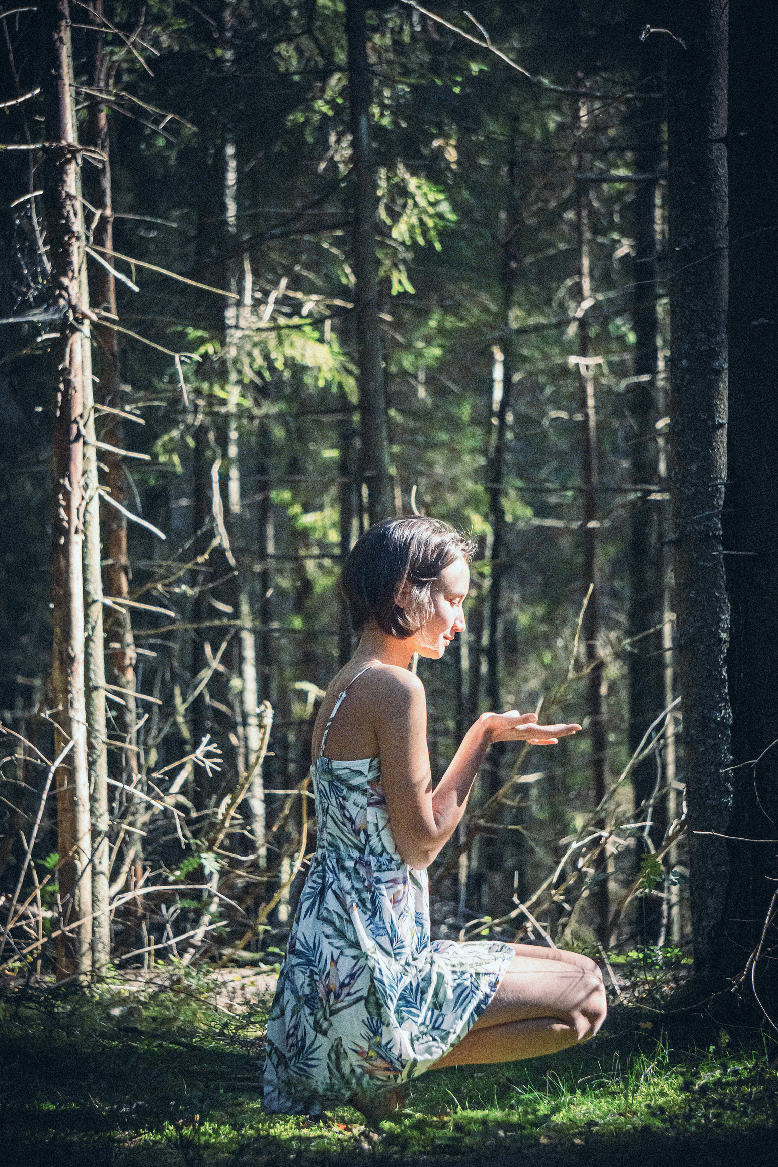 Beyond Reiki: A Map of Energy Healing Systems