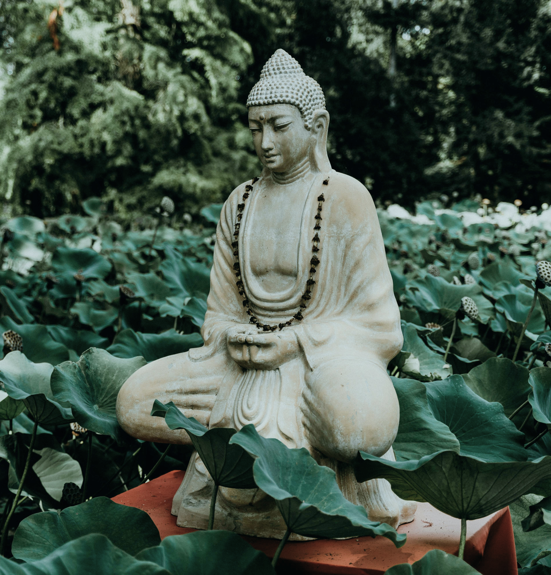 What Three Days of Silence Taught Me About Life